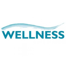 Велнес/Wellness студия