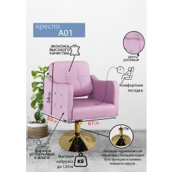 Парикмахерское кресло &quot;А01&quot;, розовый, диск золотой
